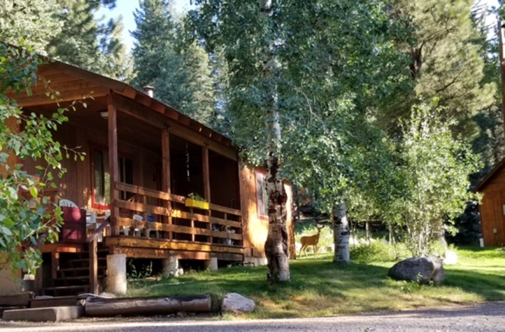 Bear den cabin