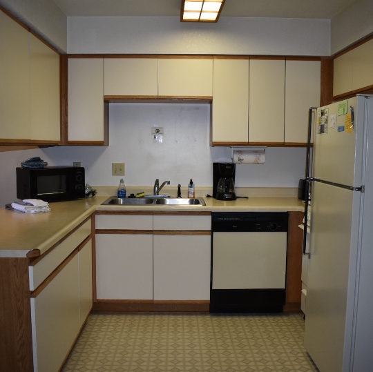 Kitchen area with sink, fridge, and dish washer.